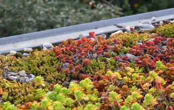 the cost of Cadley green roof installation